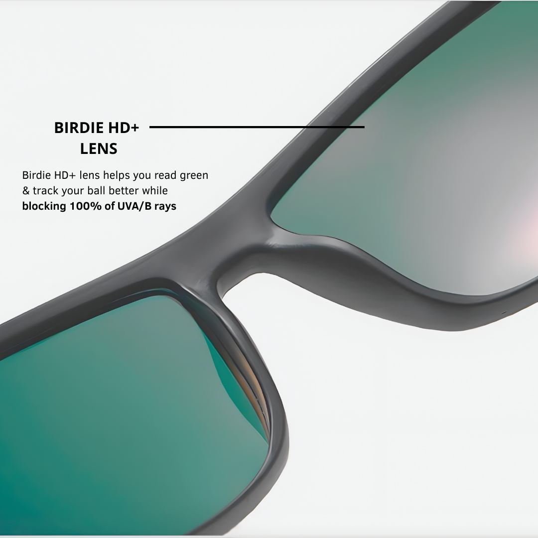 Birdie Glasses HD+